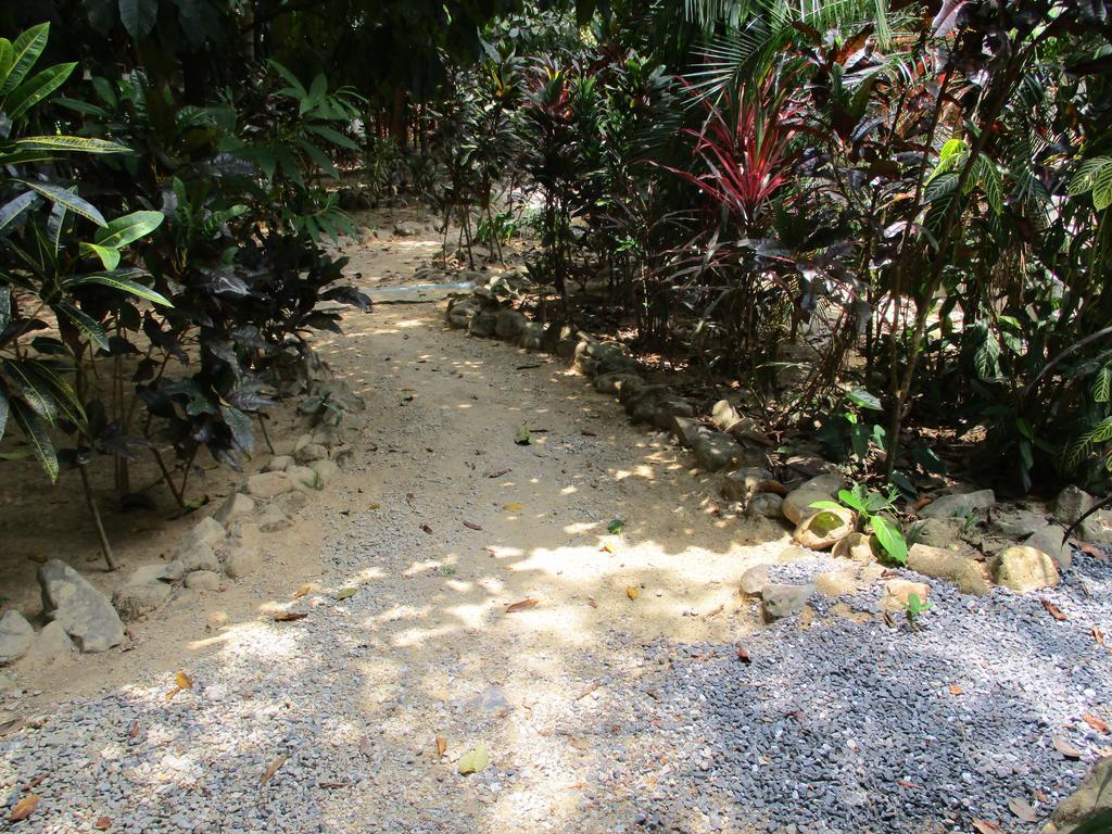 Khaosok Island Resort Khao Sok National Park Esterno foto