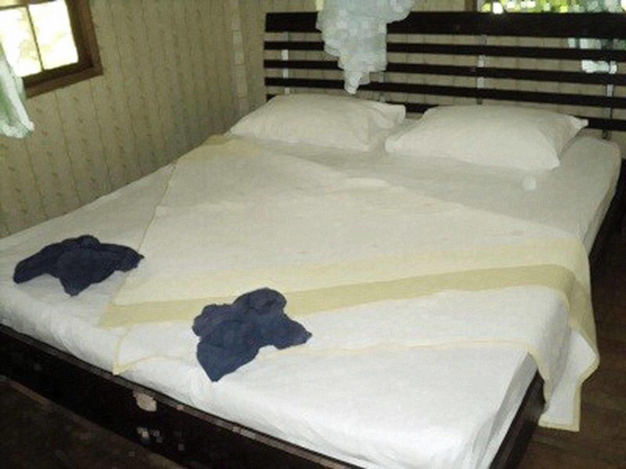 Khaosok Island Resort Khao Sok National Park Esterno foto