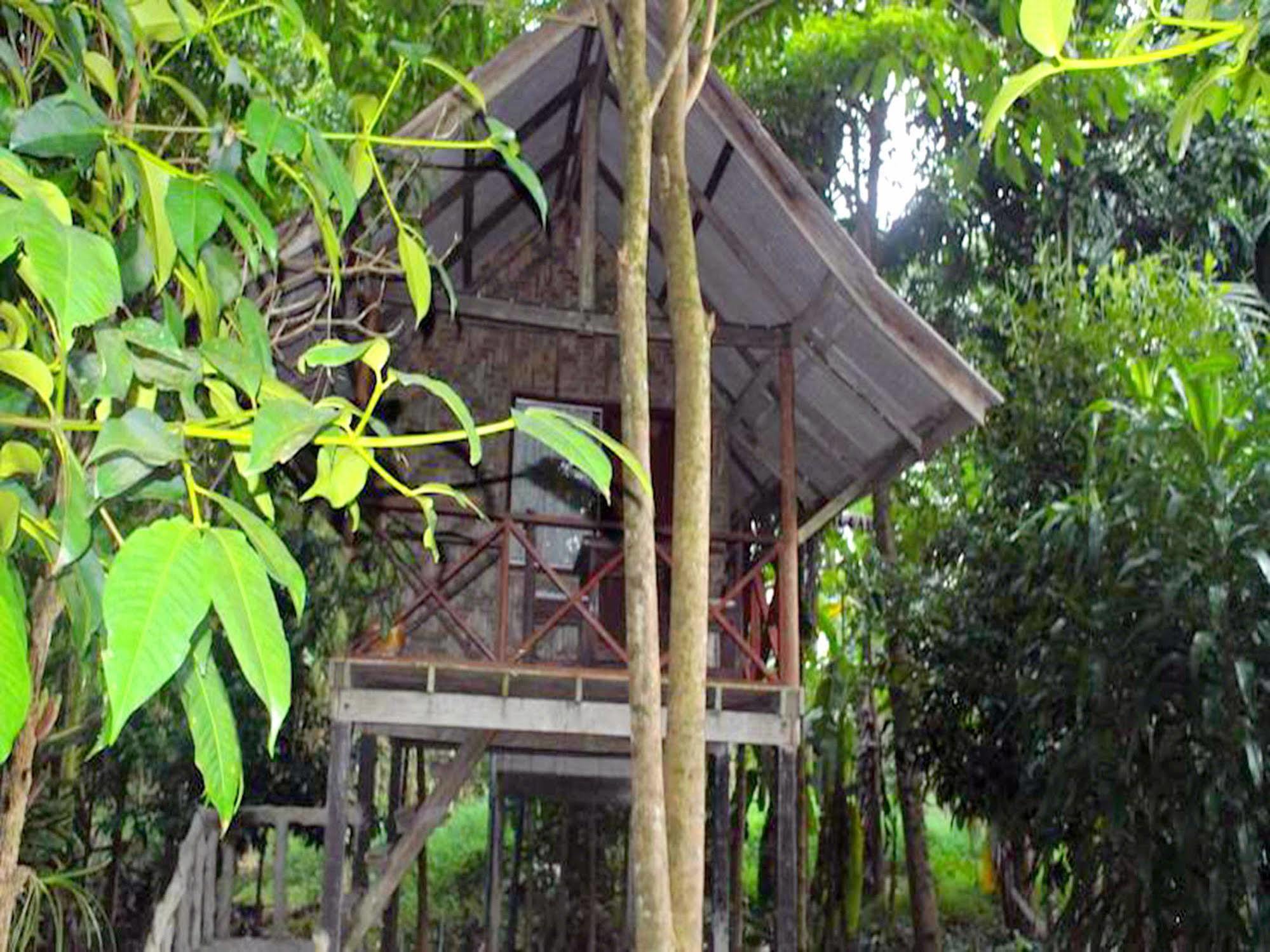 Khaosok Island Resort Khao Sok National Park Esterno foto